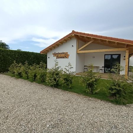 Apartamentos Aronces Cudillero Exteriör bild